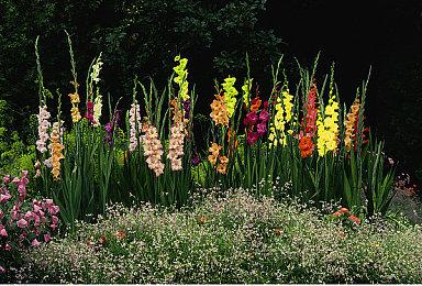 玩家打造《我的世界》星际地图 还原神秘银河系黑洞